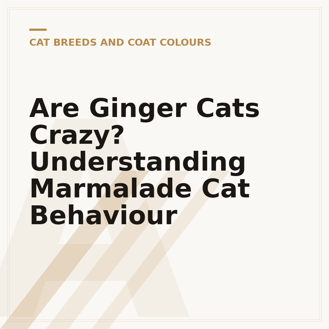 Are Ginger Cats Crazy? Understanding Marmalade Cat Behaviour