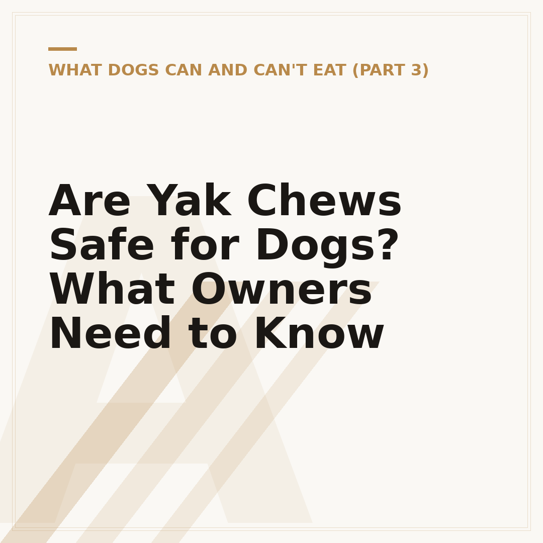 Are Yak Chews Safe for Dogs? What Owners Need to Know
