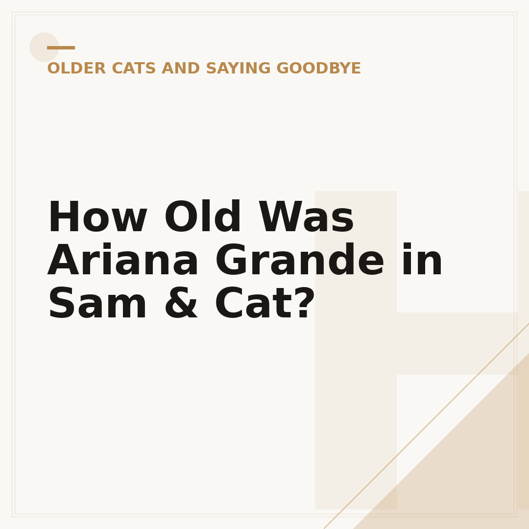 How Old Was Ariana Grande in Sam & Cat?