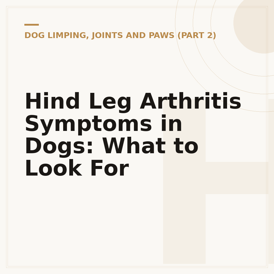 Hind Leg Arthritis Symptoms in Dogs: What to Look For