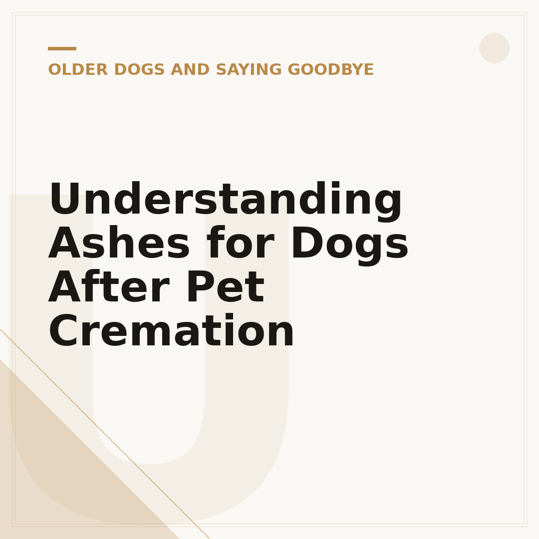 Understanding Ashes for Dogs After Pet Cremation