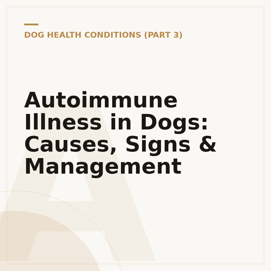 Autoimmune Illness in Dogs: Causes, Signs & Management
