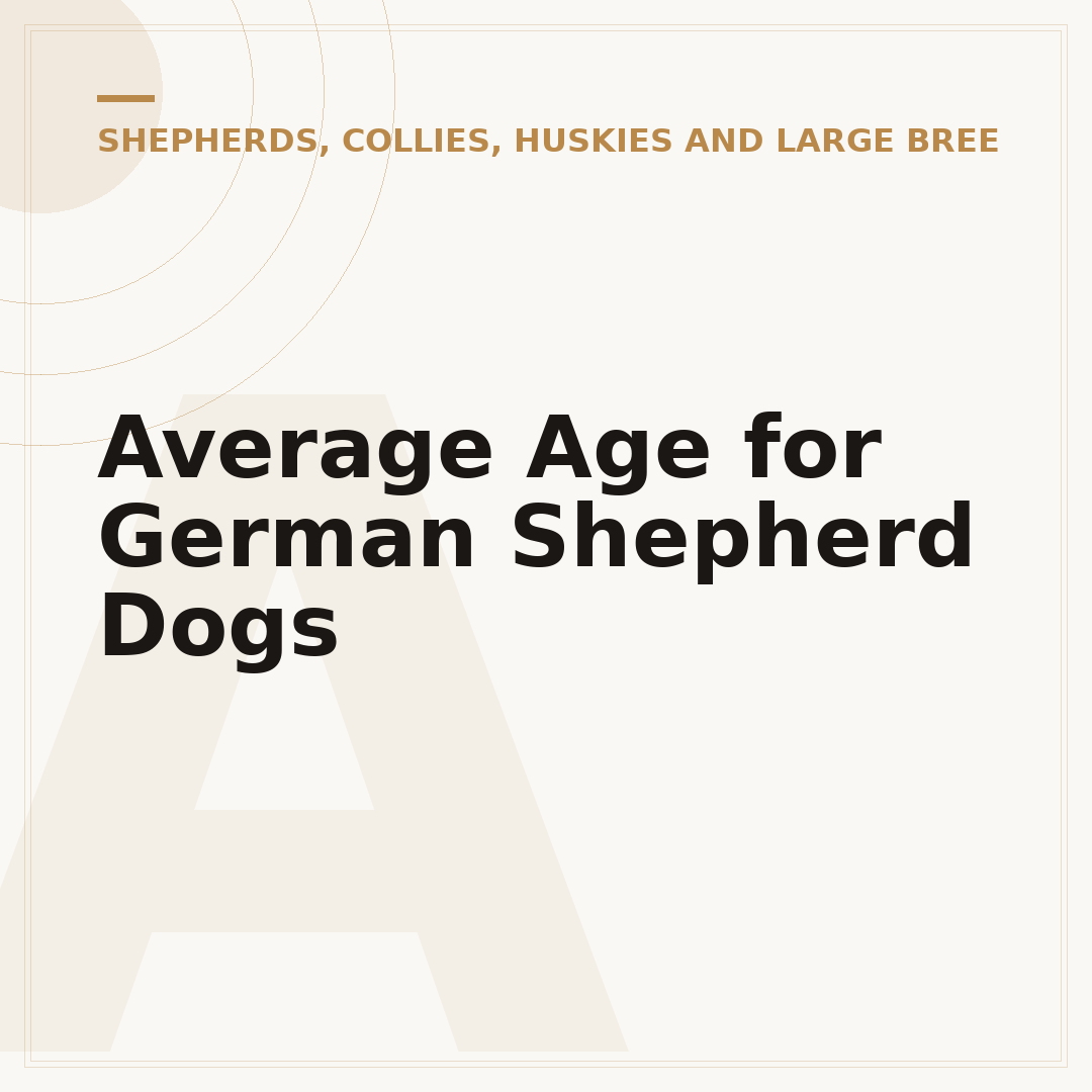 Average Age for German Shepherd Dogs