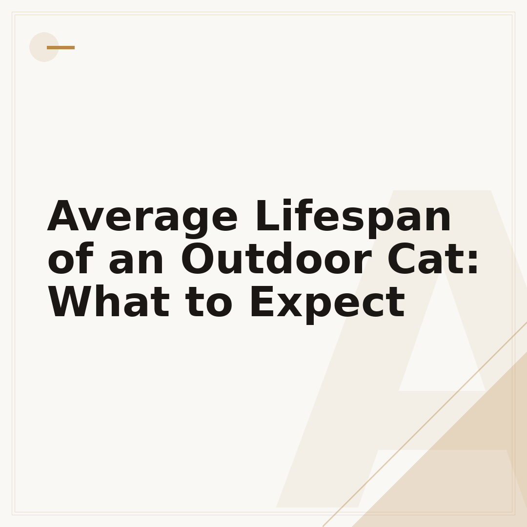 Average Lifespan of an Outdoor Cat: What to Expect