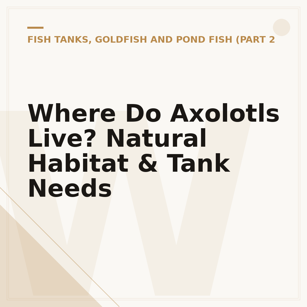 Where Do Axolotls Live? Natural Habitat & Tank Needs