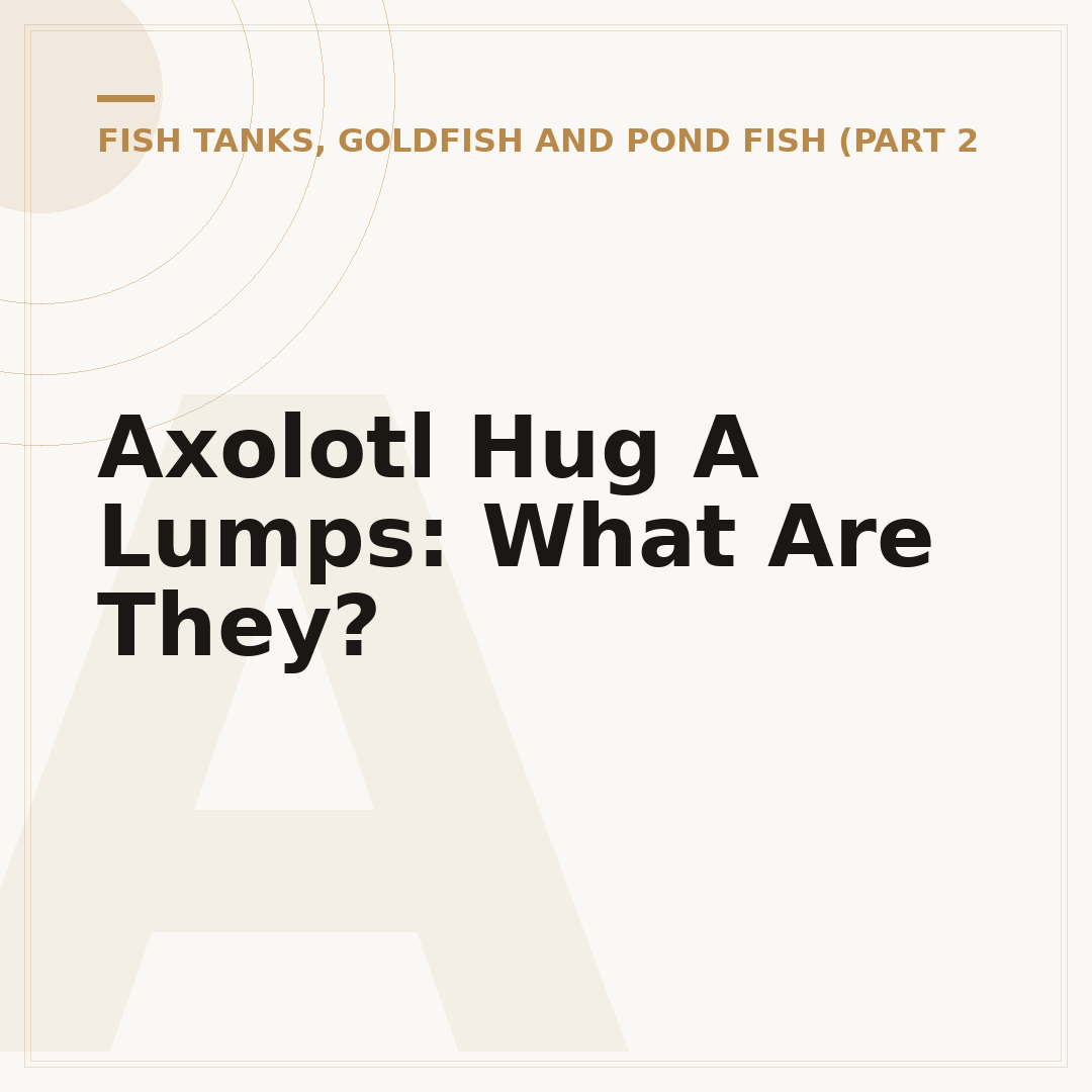 Axolotl Hug A Lumps: What Are They?