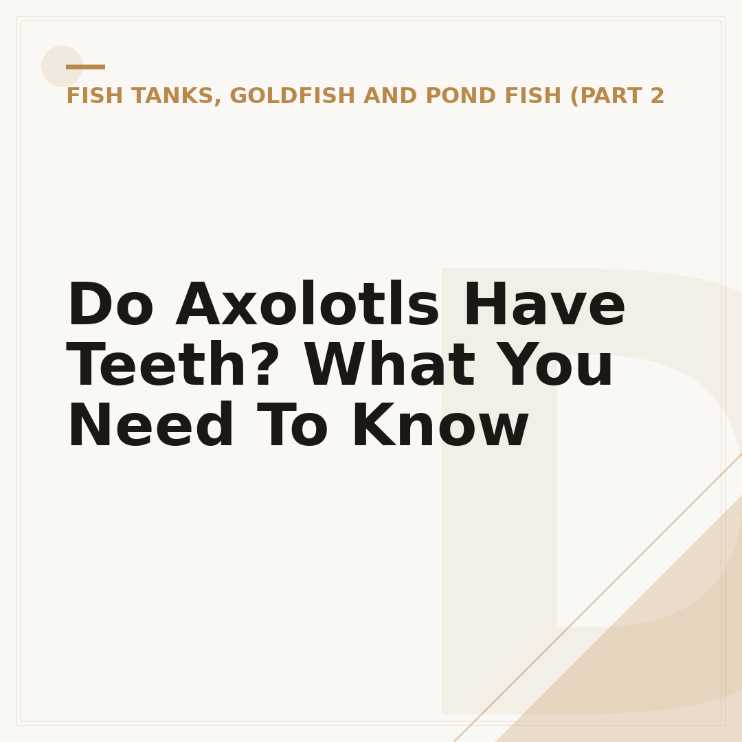Do Axolotls Have Teeth? What You Need To Know