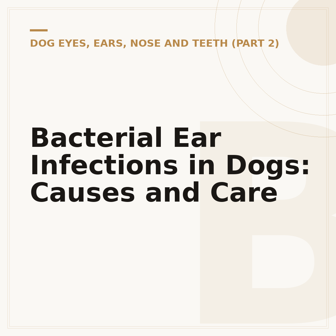 Bacterial Ear Infections in Dogs: Causes and Care