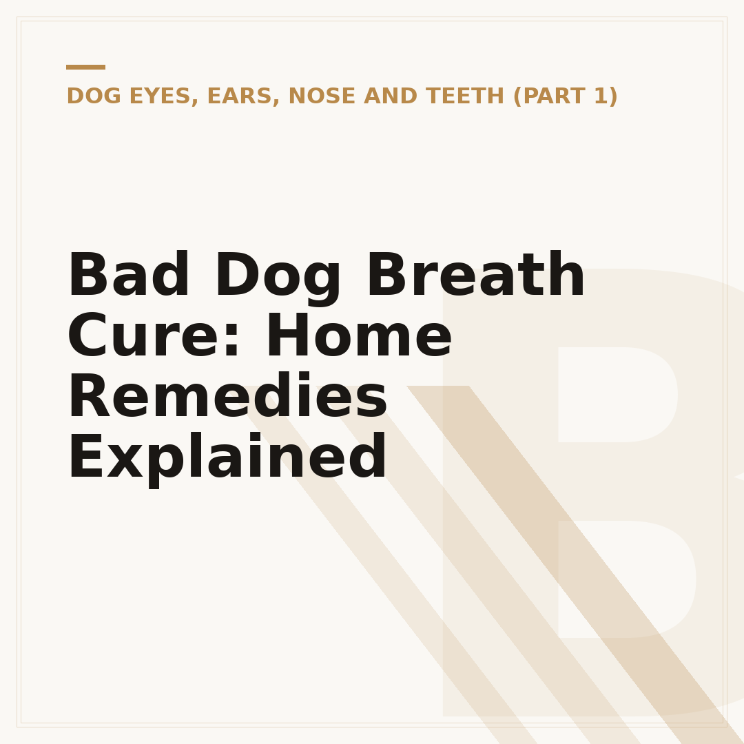 Bad Dog Breath Cure: Home Remedies Explained