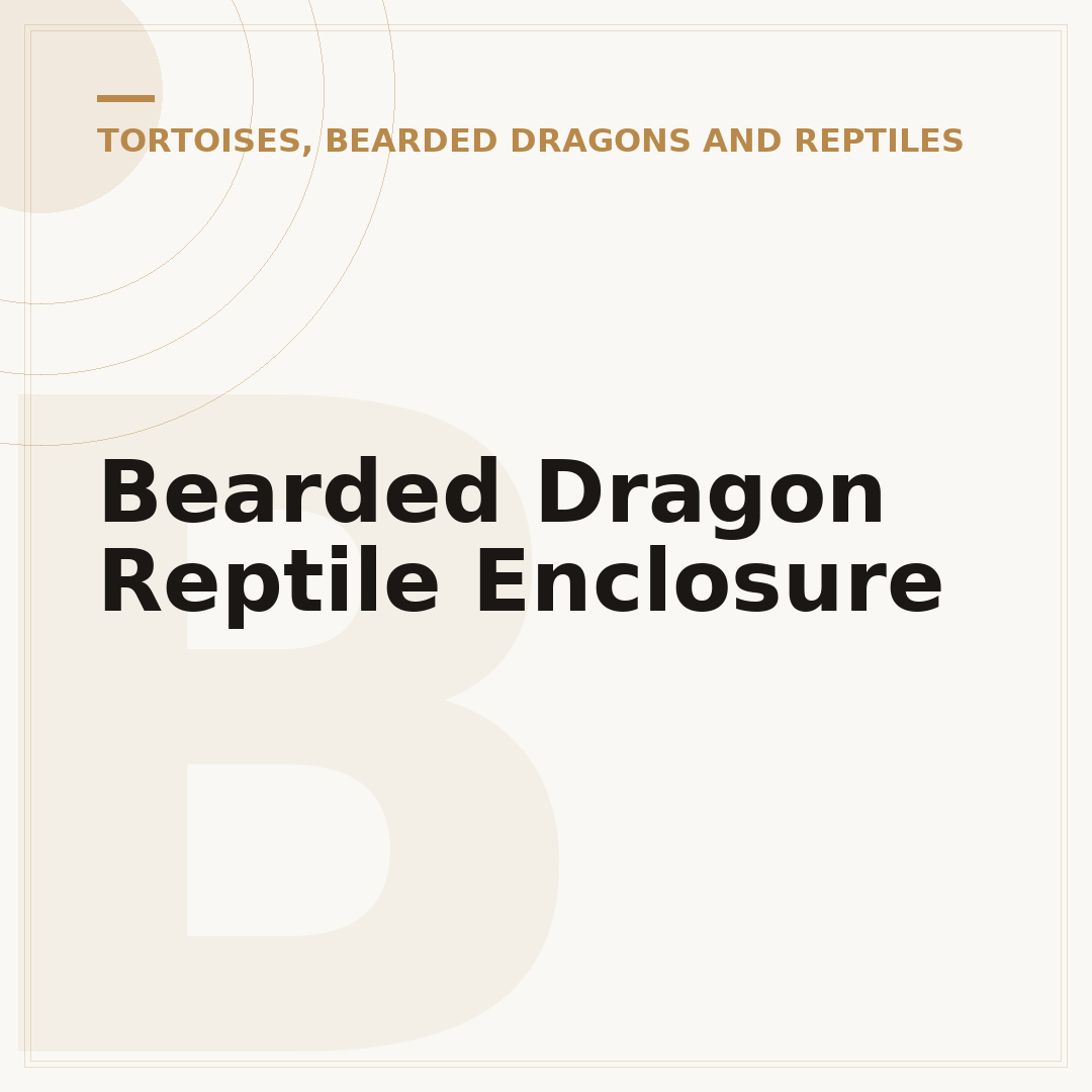 Bearded Dragon Reptile Enclosure