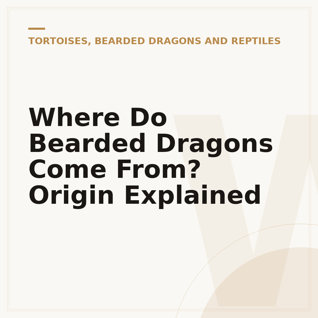 Where Do Bearded Dragons Come From? Origin Explained