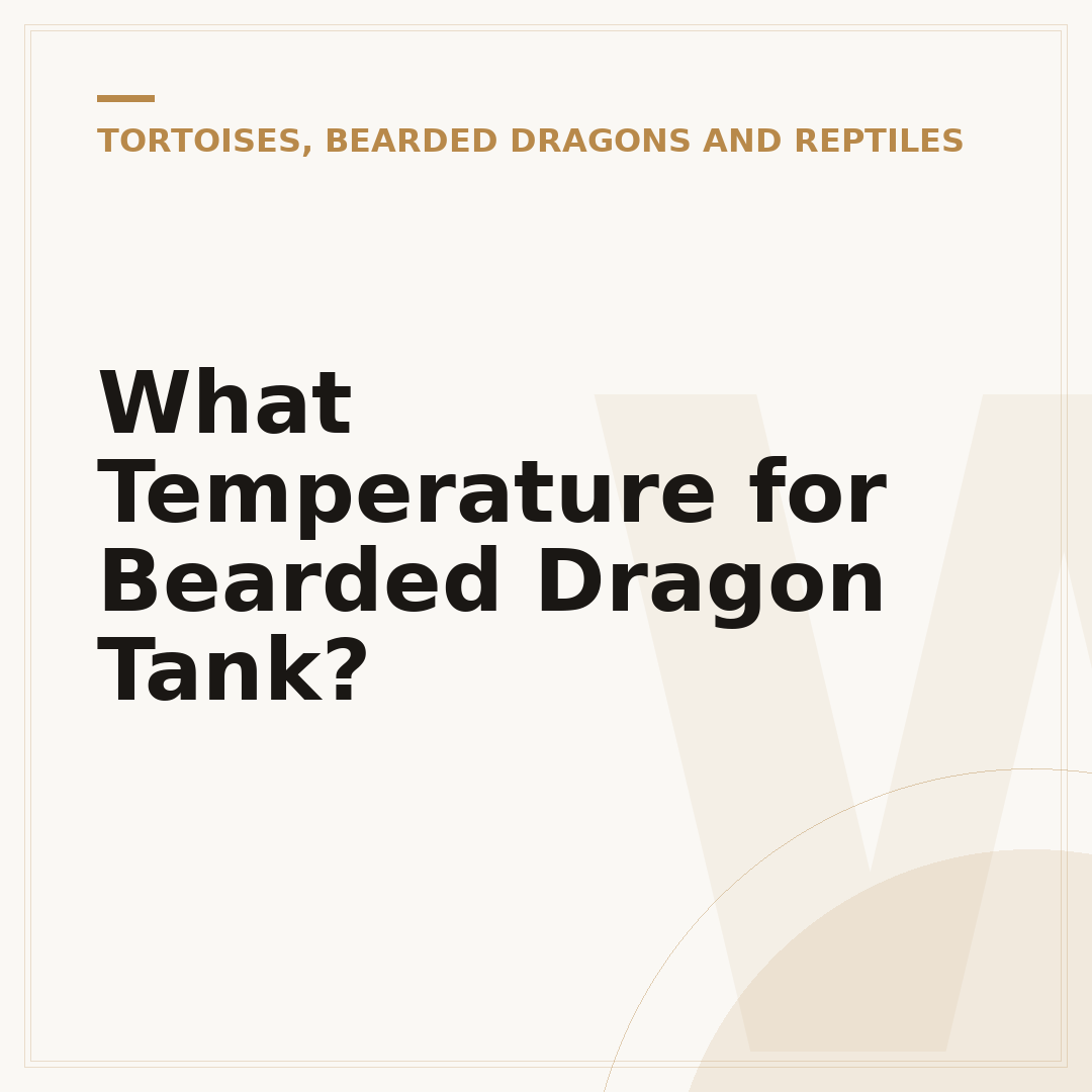 What Temperature for Bearded Dragon Tank?