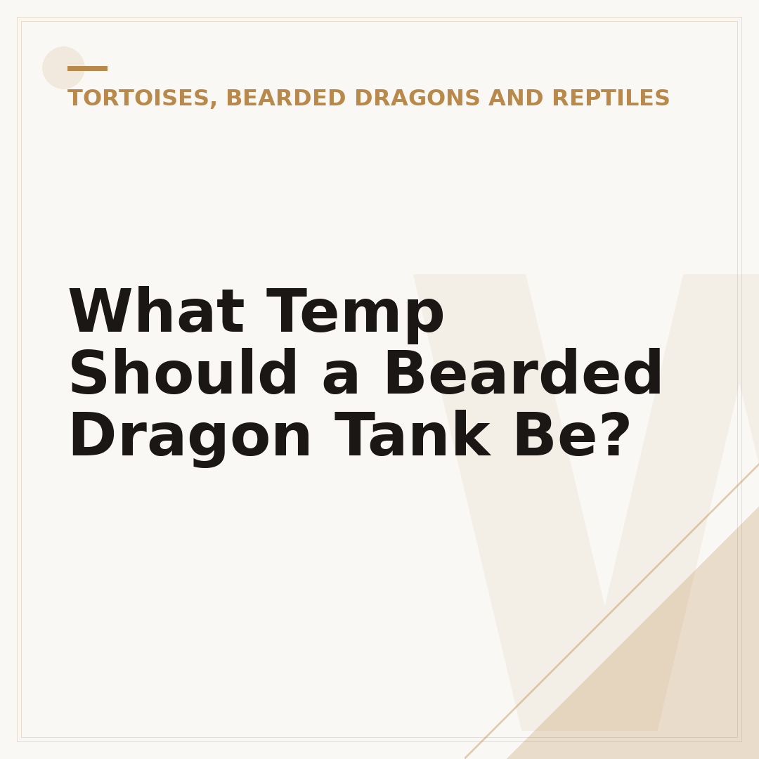 What Temp Should a Bearded Dragon Tank Be?