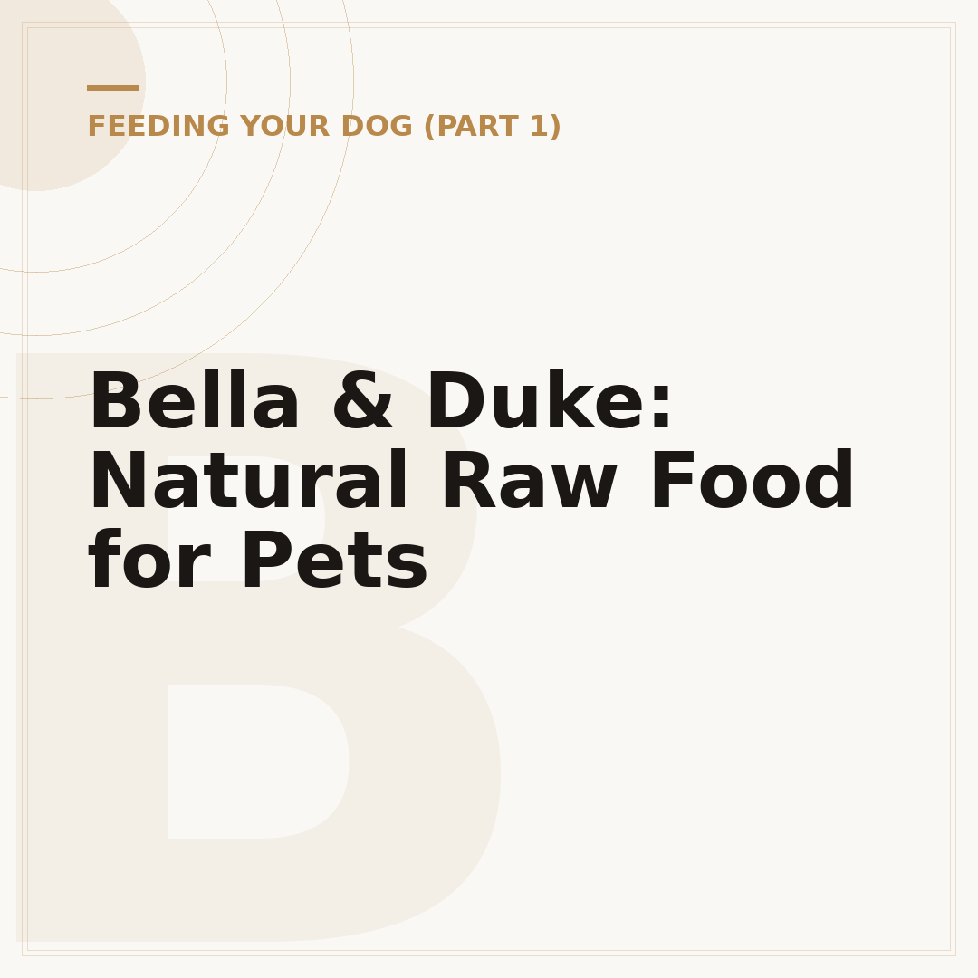 Bella & Duke: Natural Raw Food for Pets