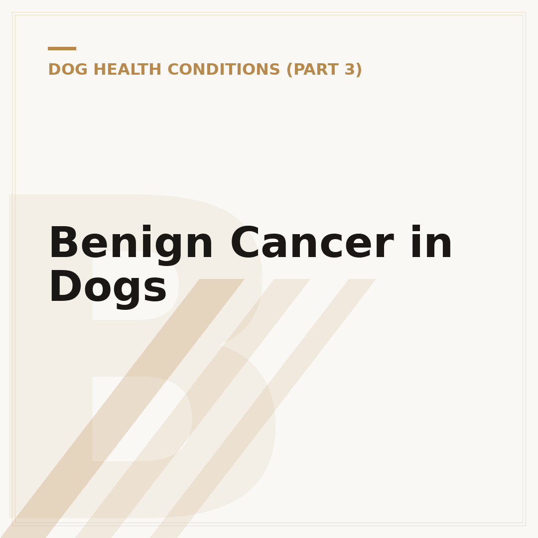 Benign Cancer in Dogs