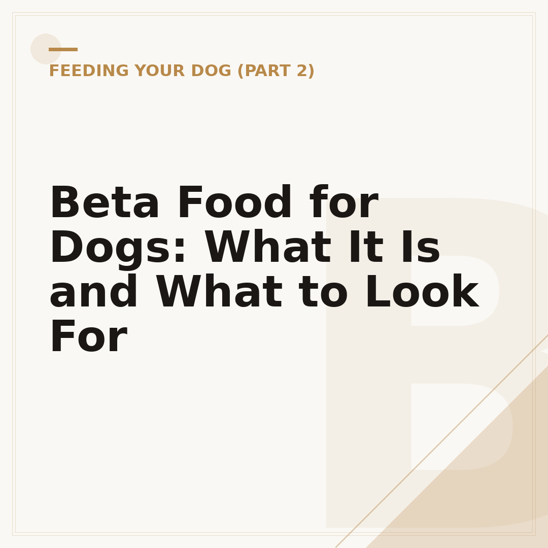 Beta Food for Dogs: What It Is and What to Look For