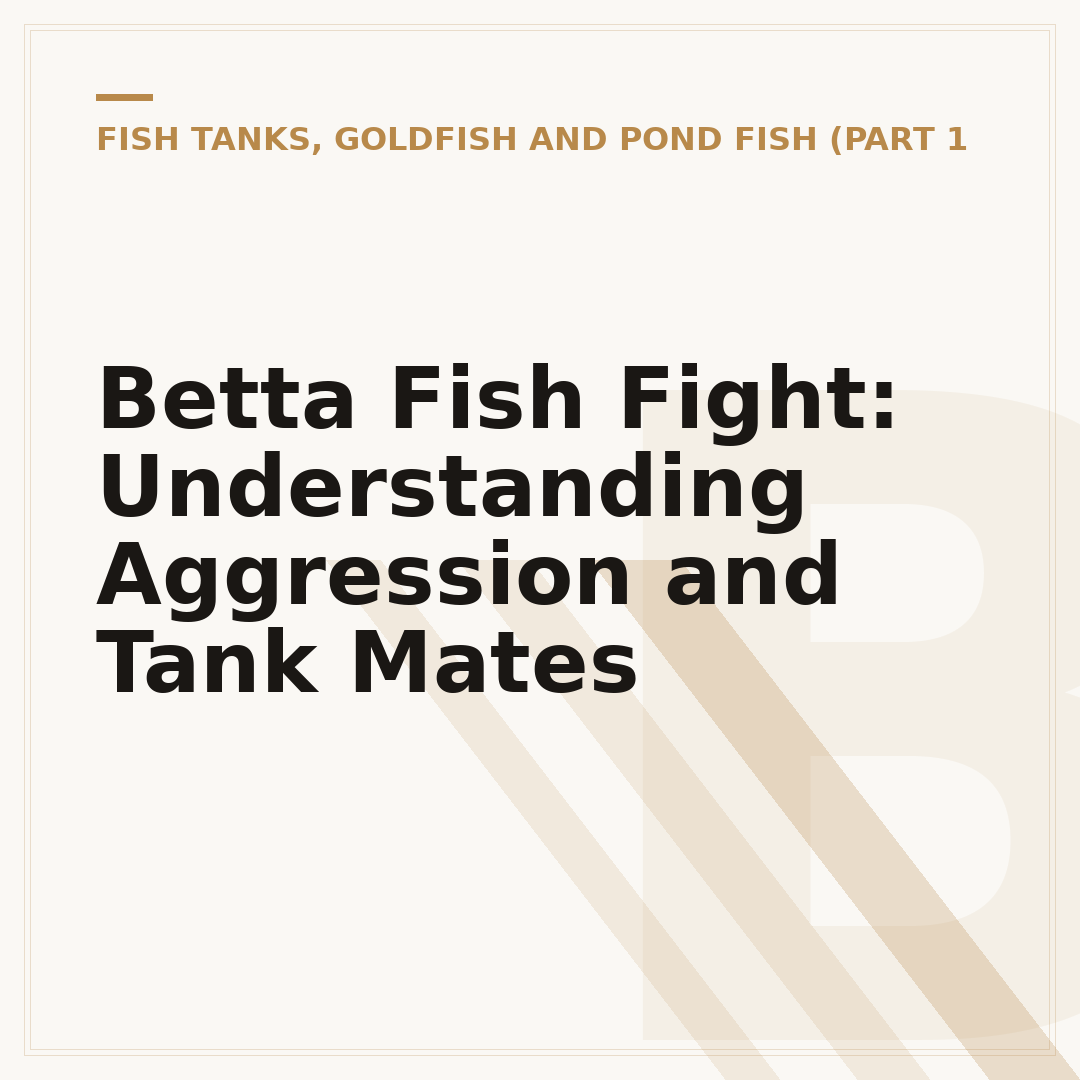 Betta Fish Fight: Understanding Aggression and Tank Mates