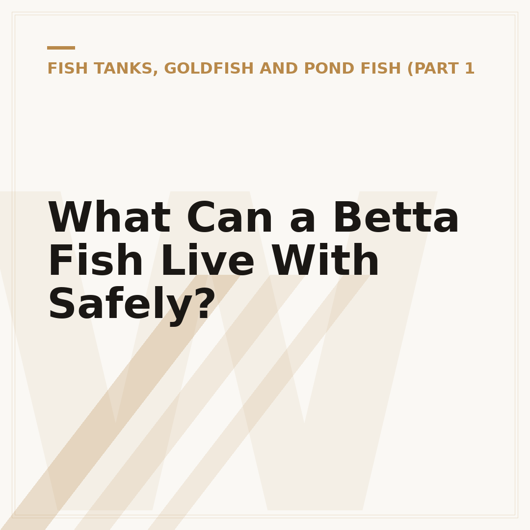 What Can a Betta Fish Live With Safely?