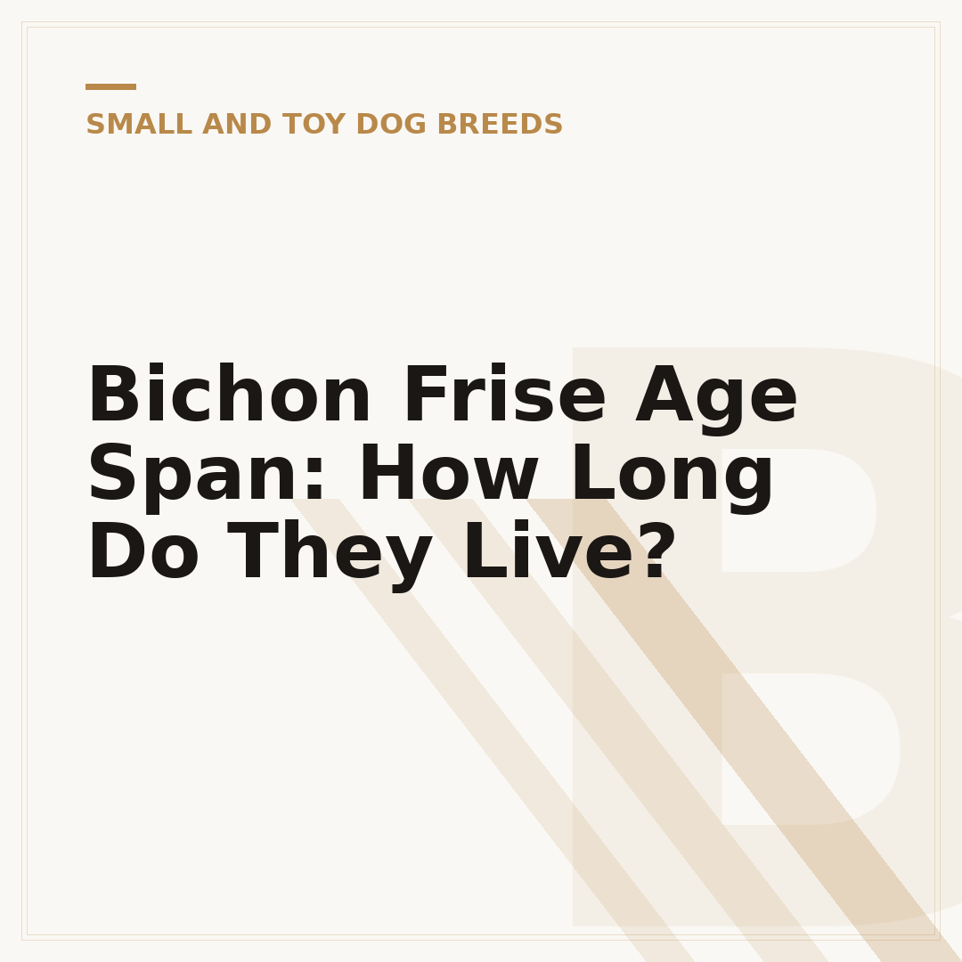 Bichon Frise Age Span: How Long Do They Live?
