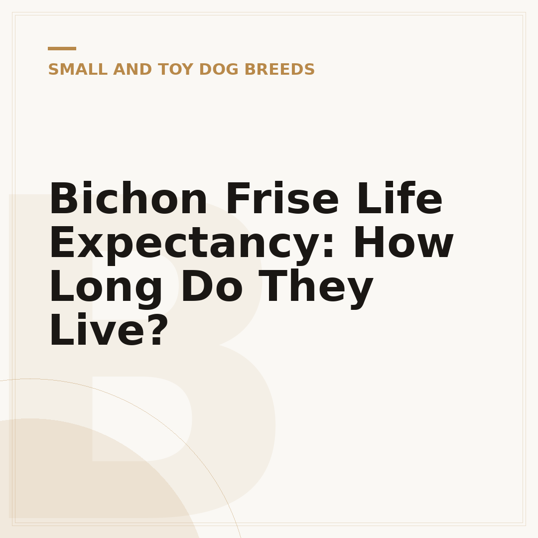 Bichon Frise Life Expectancy: How Long Do They Live?