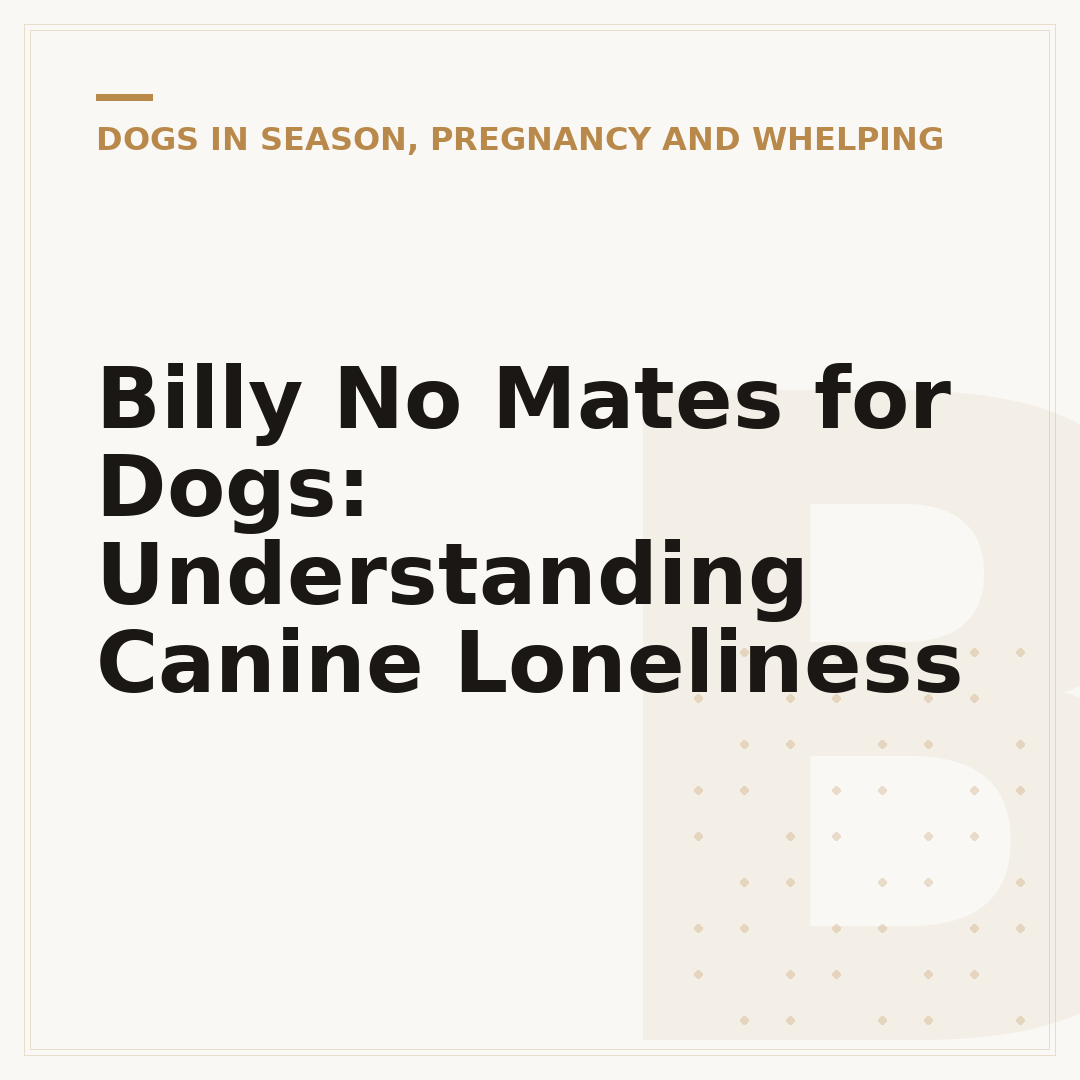 Billy No Mates for Dogs: Understanding Canine Loneliness