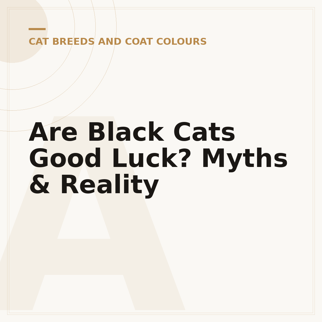 Are Black Cats Good Luck? Myths & Reality