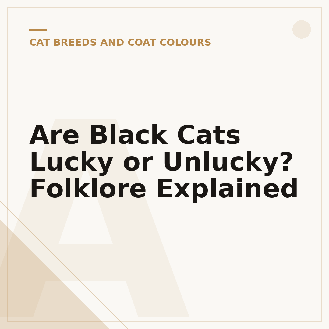 Are Black Cats Lucky or Unlucky? Folklore Explained