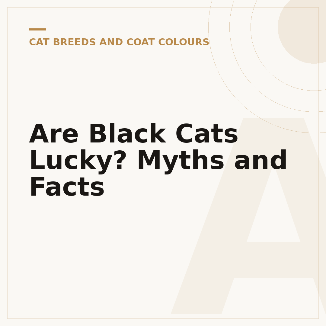 Are Black Cats Lucky? Myths and Facts