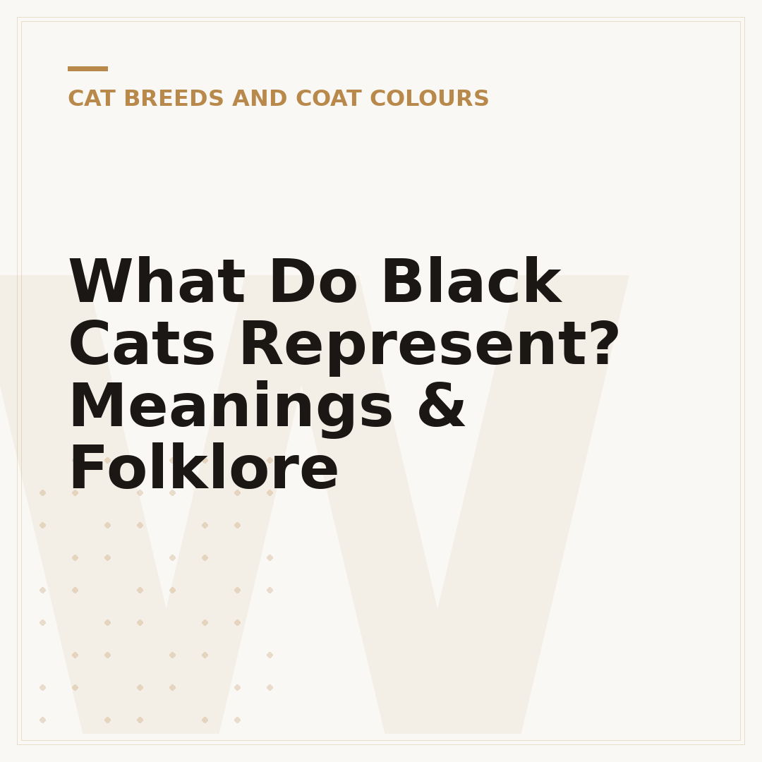 What Do Black Cats Represent? Meanings & Folklore