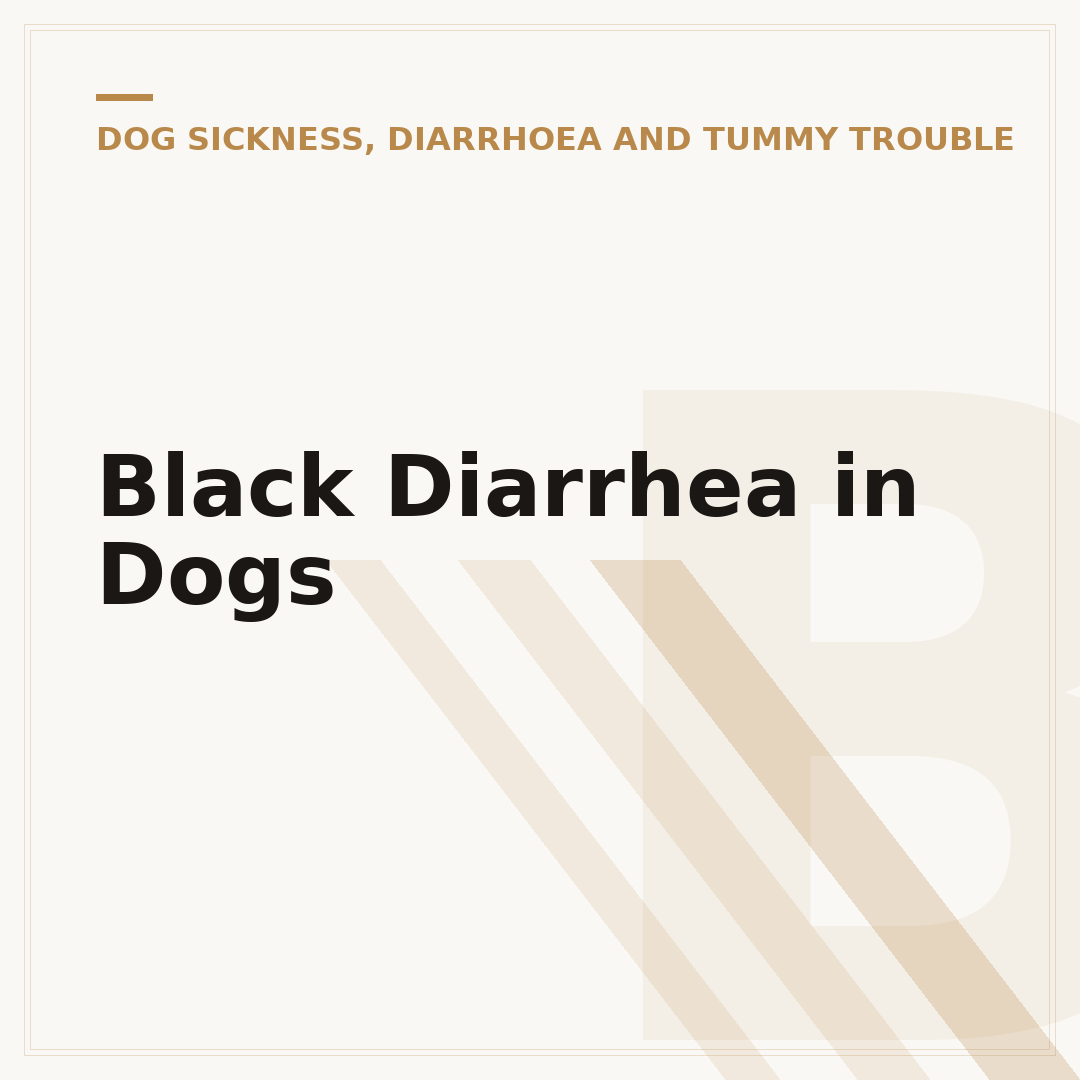 Black Diarrhea in Dogs