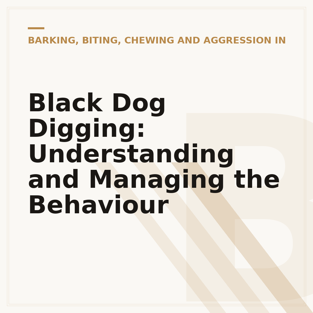 Black Dog Digging: Understanding and Managing the Behaviour