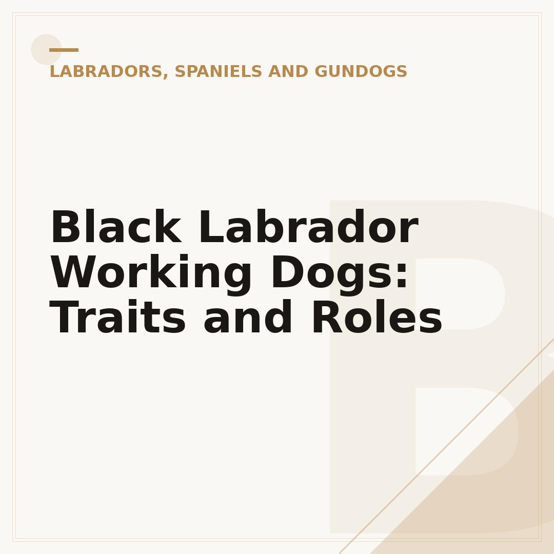 Black Labrador Working Dogs: Traits and Roles