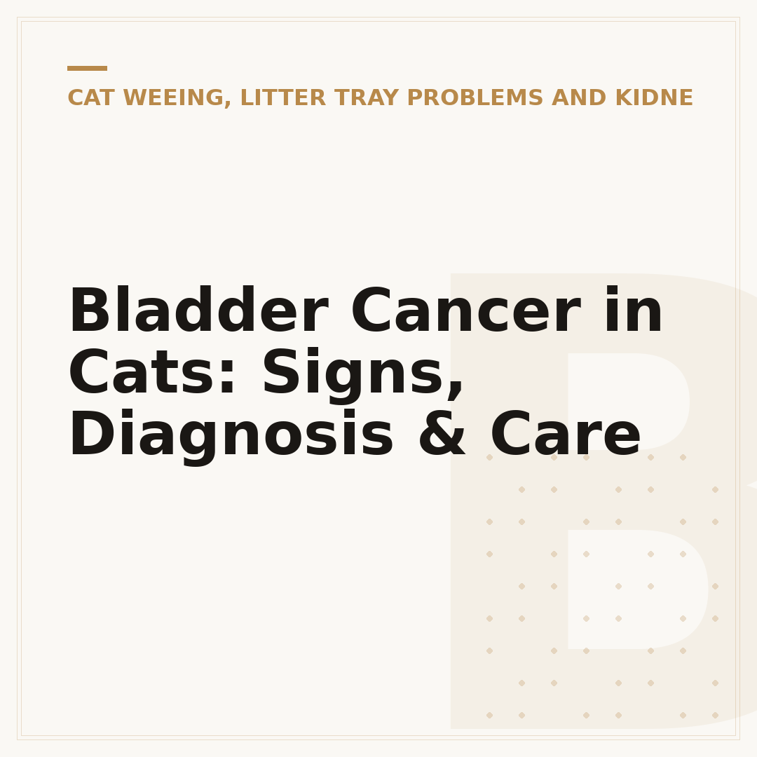 Bladder Cancer in Cats: Signs, Diagnosis & Care