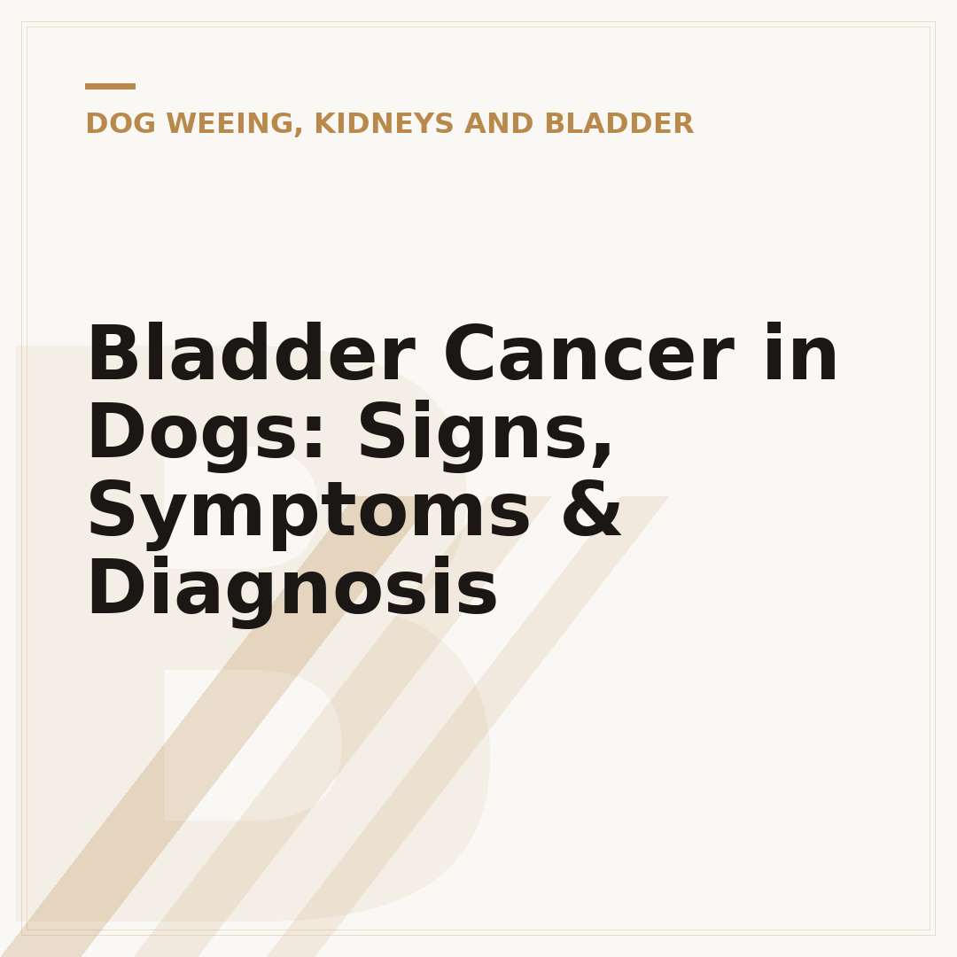 Bladder Cancer in Dogs: Signs, Symptoms & Diagnosis