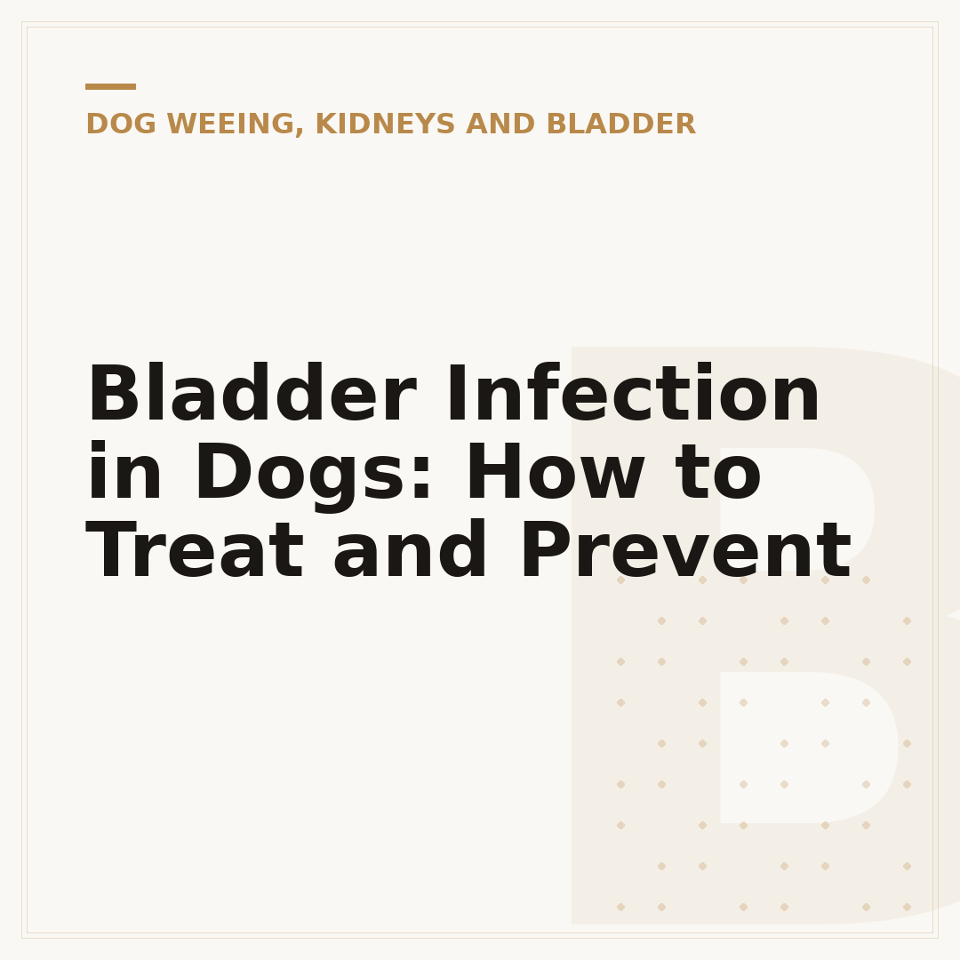 Bladder Infection in Dogs: How to Treat and Prevent