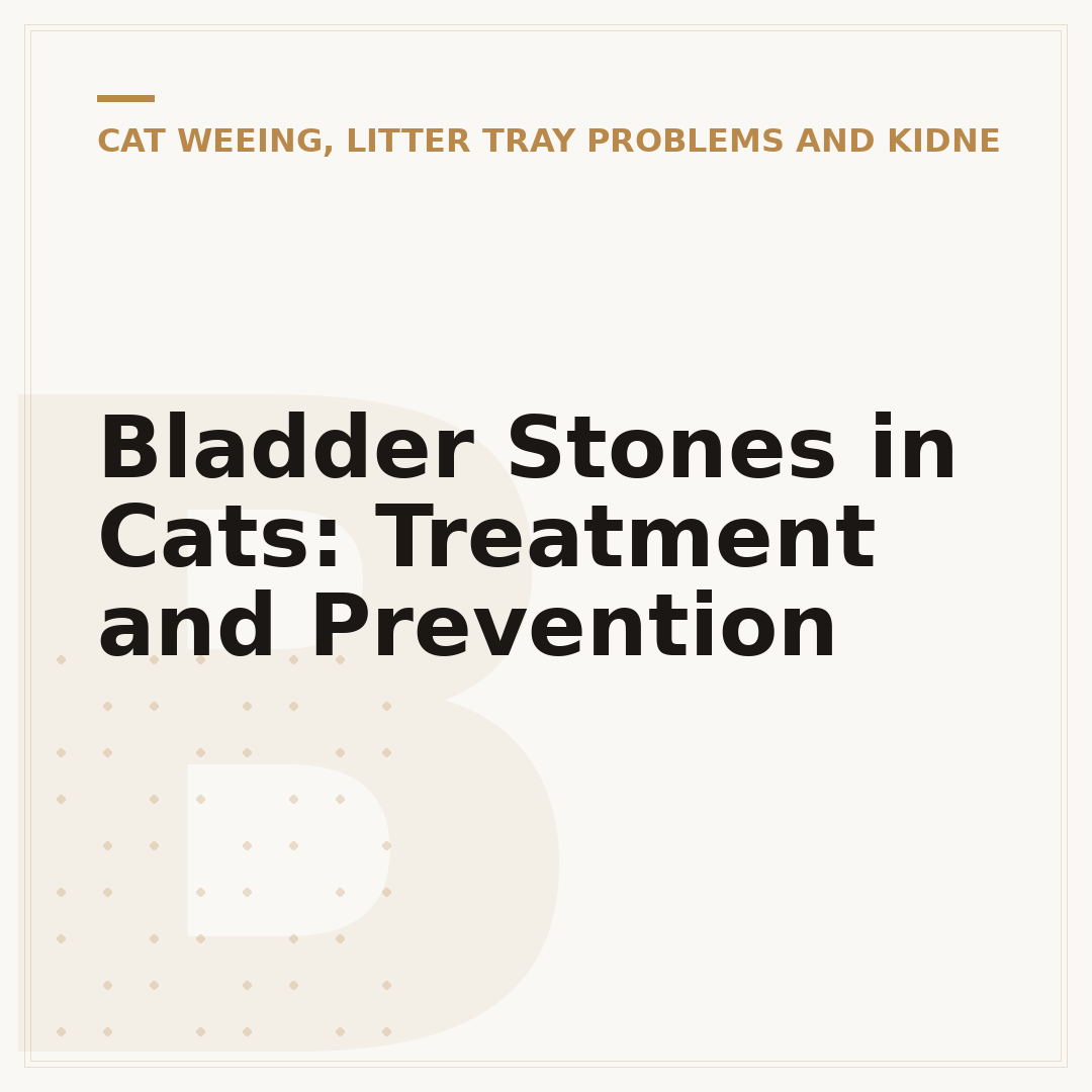 Bladder Stones in Cats: Treatment and Prevention