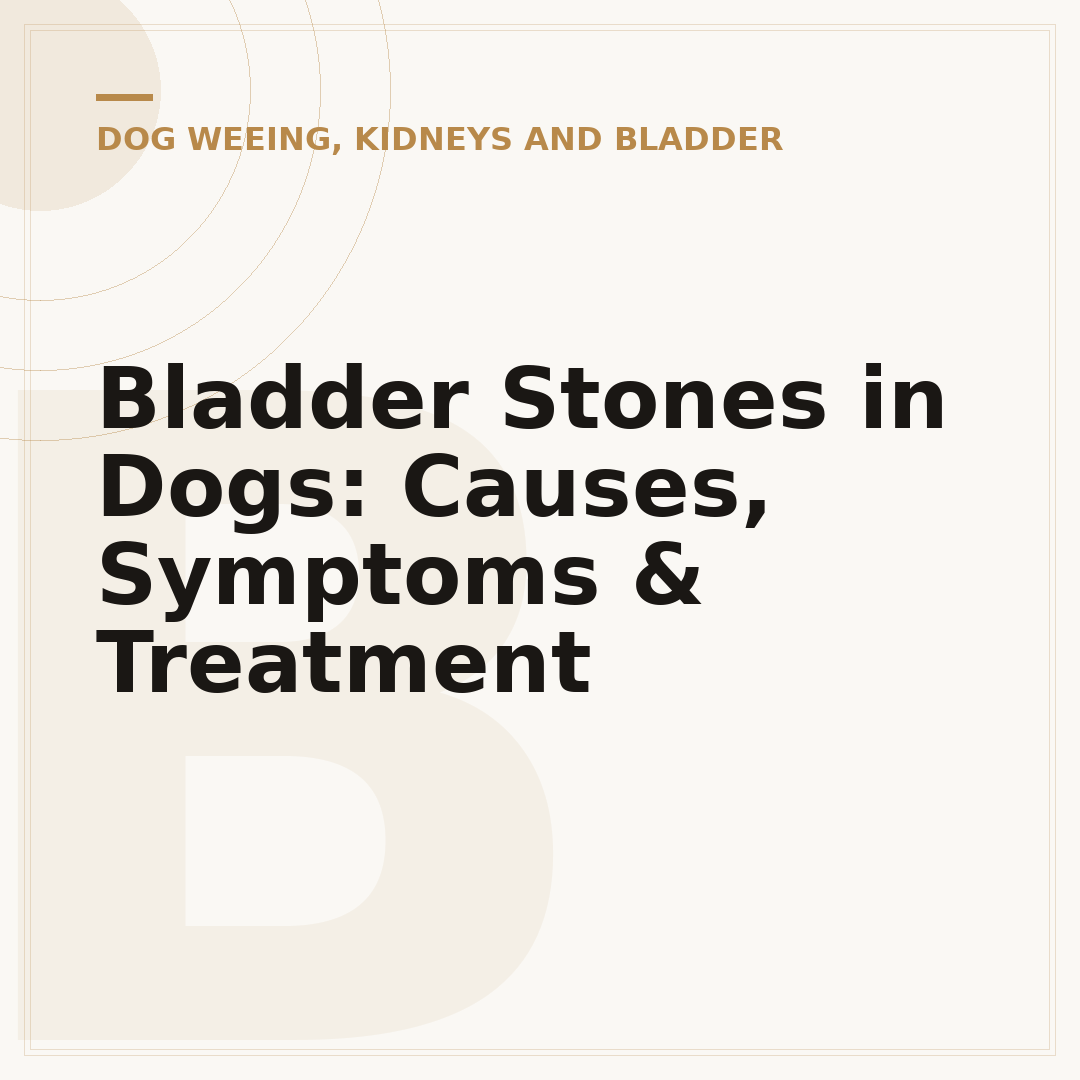 Bladder Stones in Dogs: Causes, Symptoms & Treatment