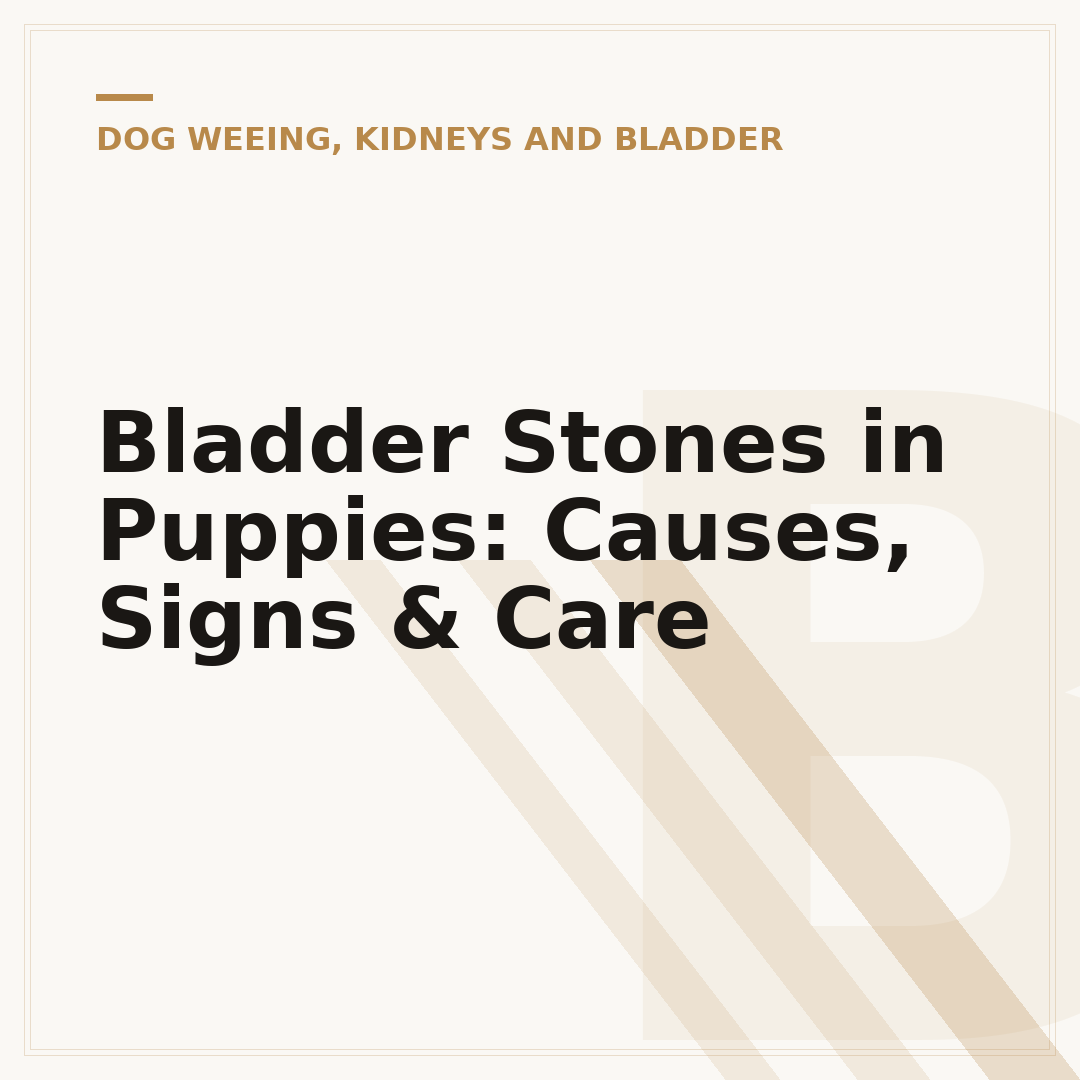 Bladder Stones in Puppies: Causes, Signs & Care