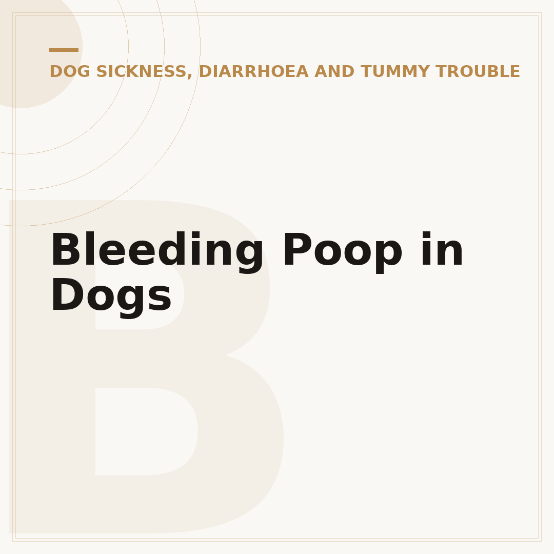 Bleeding Poop in Dogs