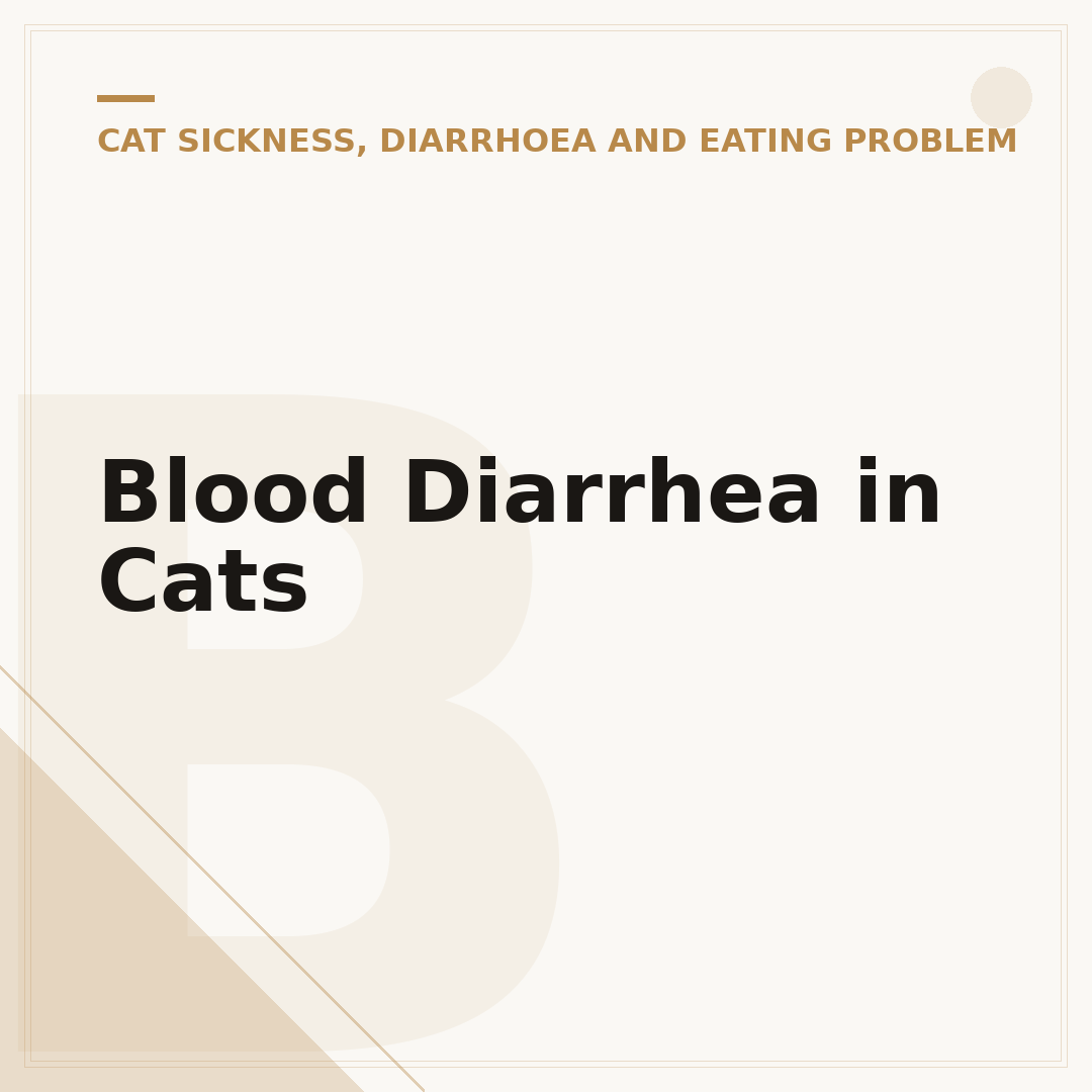 Blood Diarrhea in Cats