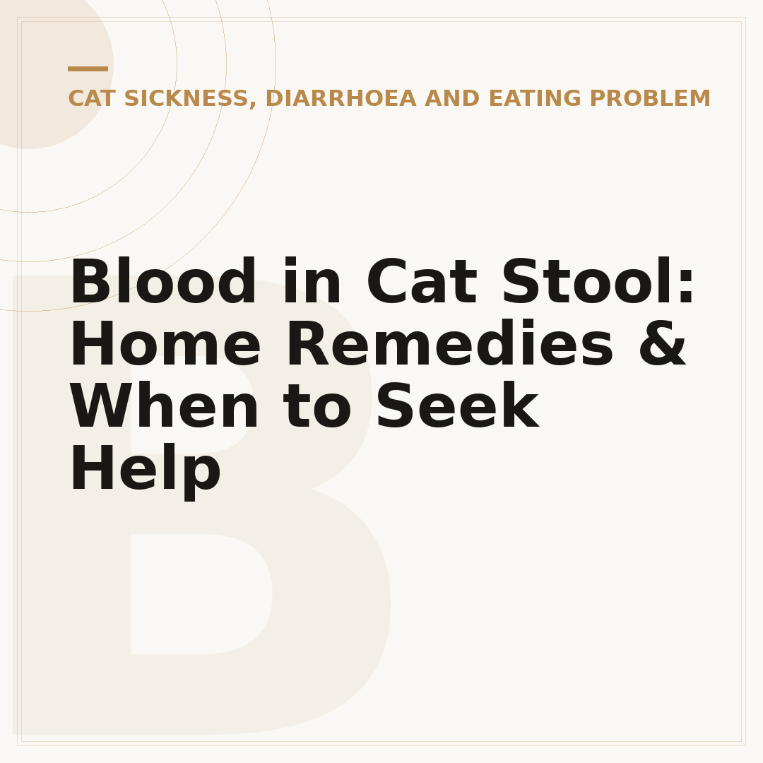 Blood in Cat Stool: Home Remedies & When to Seek Help