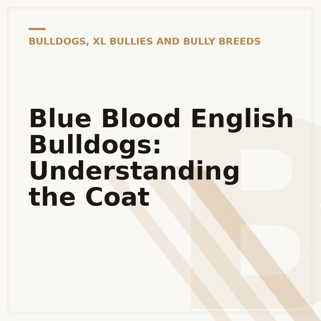 Blue Blood English Bulldogs: Understanding the Coat