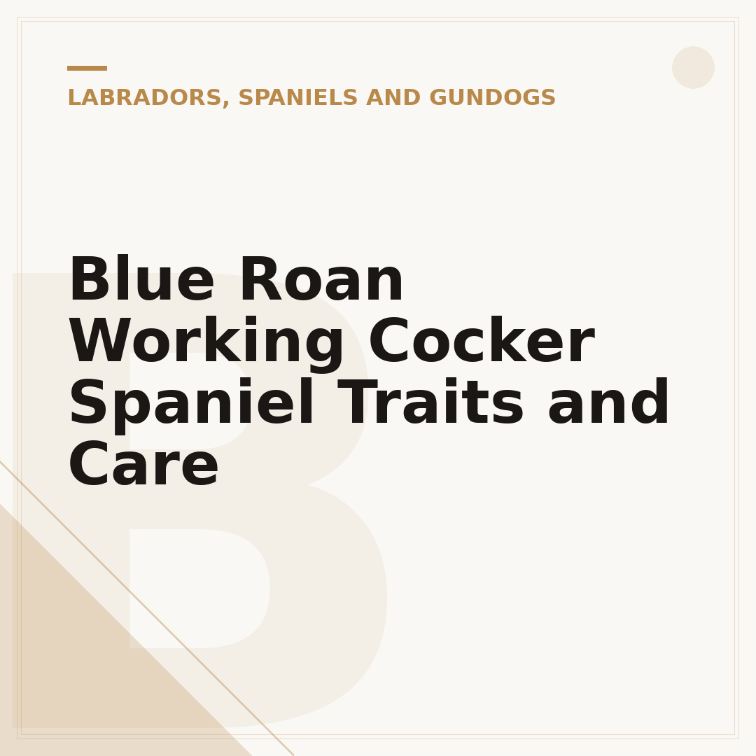 Blue Roan Working Cocker Spaniel Traits and Care
