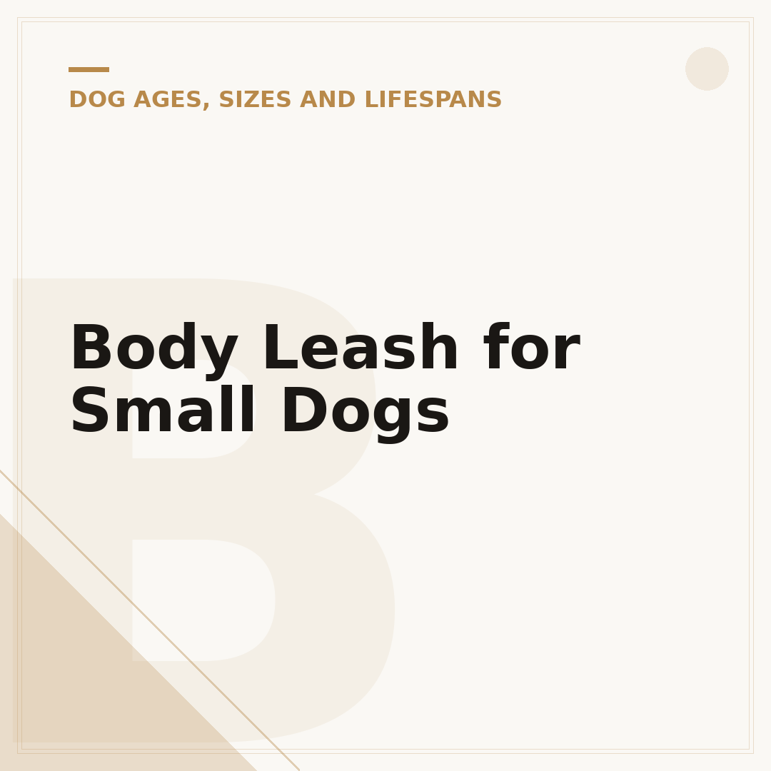 Body Leash for Small Dogs