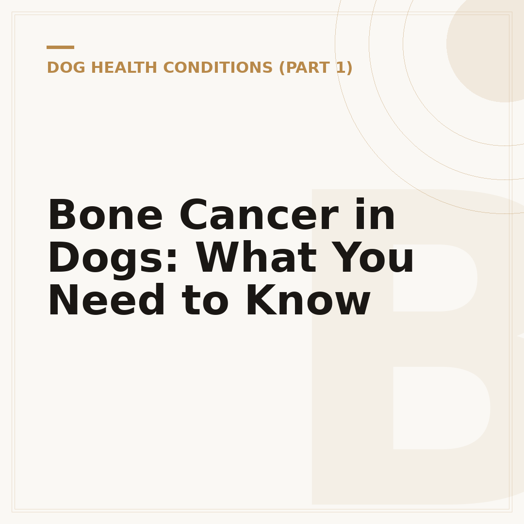 Bone Cancer in Dogs: What You Need to Know