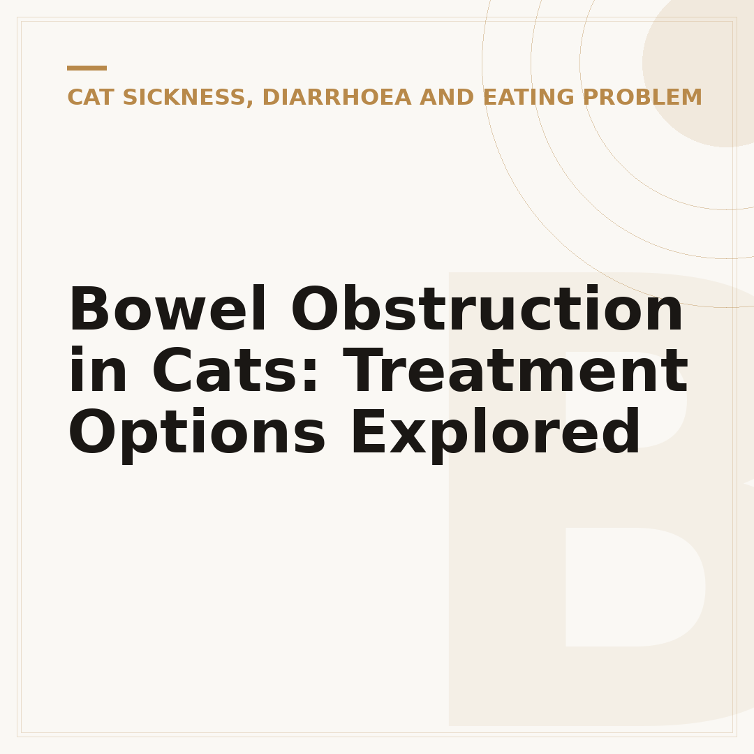 Bowel Obstruction in Cats: Treatment Options Explored