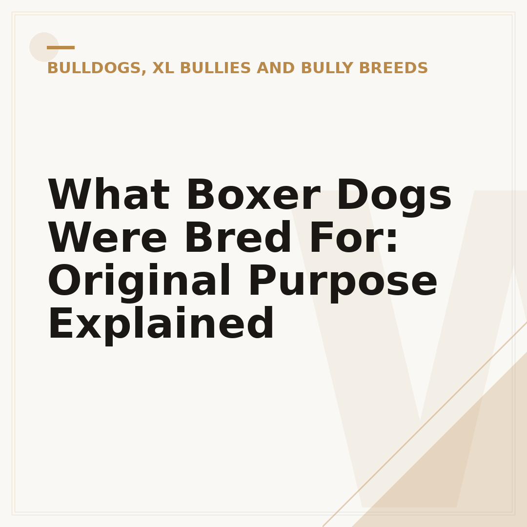 What Boxer Dogs Were Bred For: Original Purpose Explained