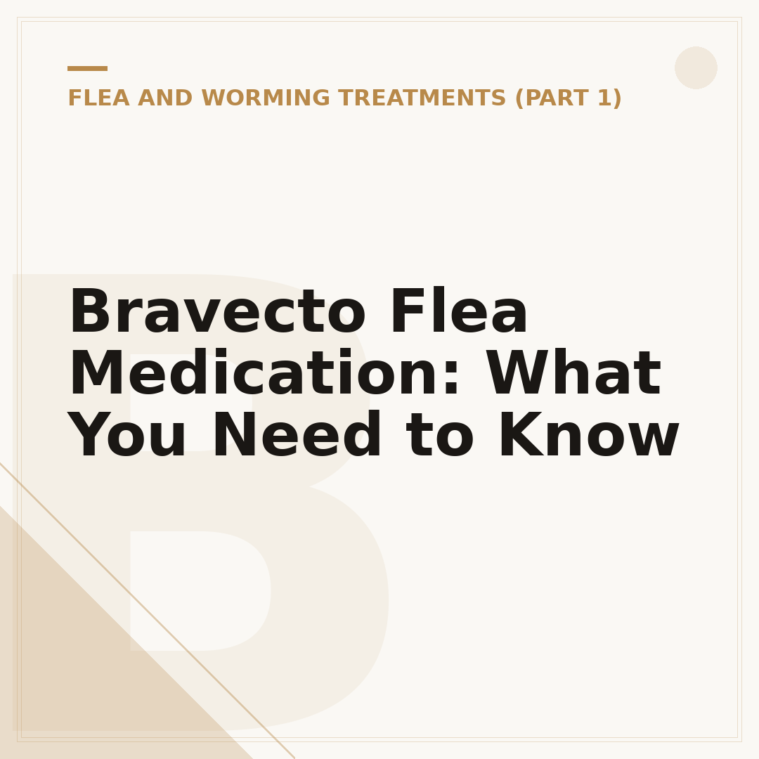 Bravecto Flea Medication: What You Need to Know