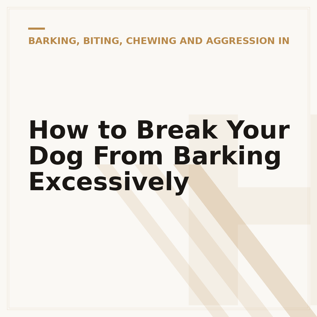 How to Break Your Dog From Barking Excessively