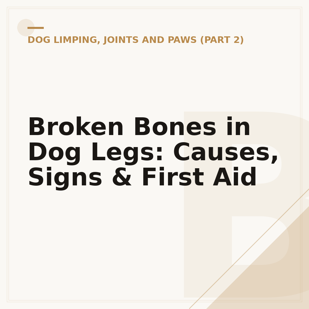 Broken Bones in Dog Legs: Causes, Signs & First Aid